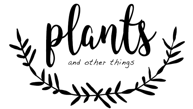 Green is the new&nbsp;black